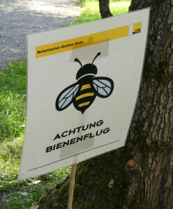 Sign with line drawing of a bee. Text: ACHTUNG BIENENFLUG