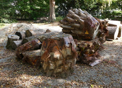 Tree stumps carved to look a bit like pineapples