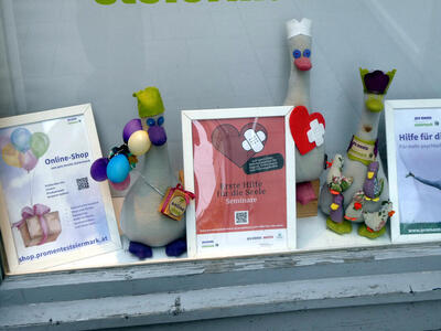 Toy geese in nurse’s hats. One has balloons in hand, another has a heart with a bandage on it, the third is surrounded by small birds. There are posters about mental health next to each one of them.