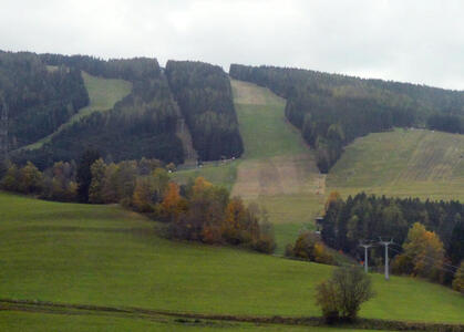 Meadow in foreground, lush green trees in background with a cleared strip in middle