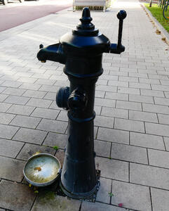 Water fountain with pump handle