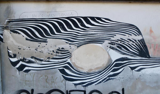 Abstract zebra striping. Above it, someone has written VITA BREVIS, ARS LONGA