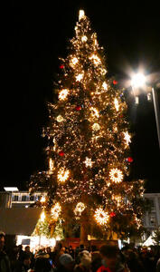 Lit-up Christmas tree; primarily gold-colored lights.