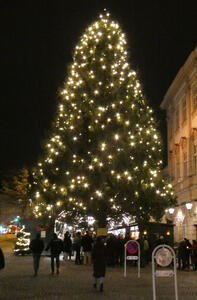 lit-up christmas tree in Salzburg