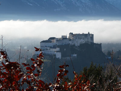 In foreground, bushes and branches. In background, the Festung; above it, dark gray clouds