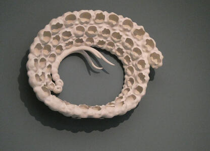 Spiral of what look like irregularly broken eggshells.