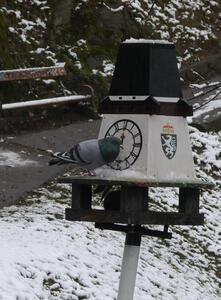 A bird feeder in shape of the Uhrturm; a pigeon is sitting on it.