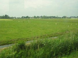 0634_train.jpg