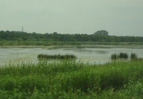 0642_train.jpg