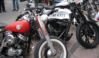 0653_harley.jpg