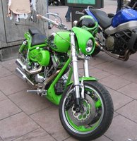 0654_harley.jpg