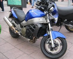 0655_harley.jpg