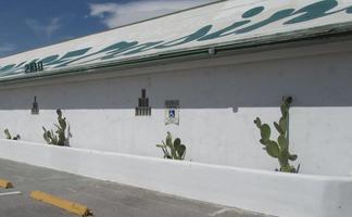 Cactus in planters outside Roadhouse Casino