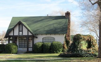 house with green roof and shrubbery