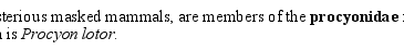 text with bold and italic words