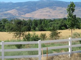 Trees with white fence in foreground