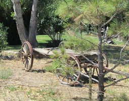 another view of the wagon