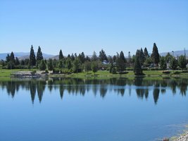 lake in foreground; evergreen trees in far background