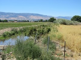 small lake among grass fields