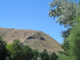 Mountain in background; trees in foreground