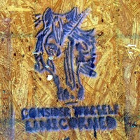 Drawing of Unicorn with words “consider yourself unicorned”