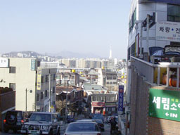 Shinsa 