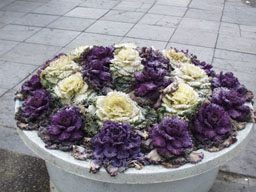 Flowerpot 
