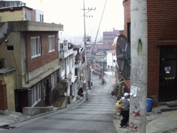 View from hill 