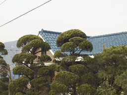 House in Sadang (2)
