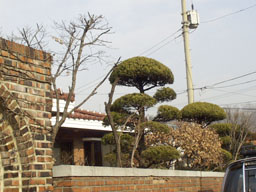 House in Sadang (3) 