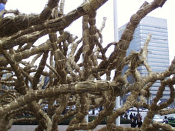 Wrapped tree 