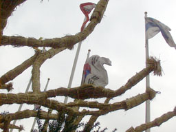 Trees and flags 