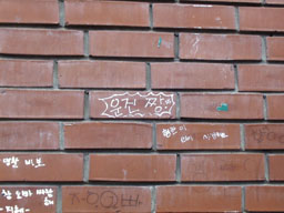 Graffiti 