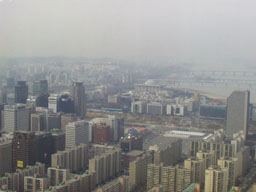 View from 63 Building (5) 