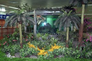 Aquarium and garden at Gwanghwamun station