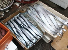 Fish, fresh off the boat, one would hope.