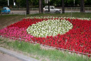 Flowers in park at Junggye