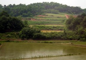 View from KTX train