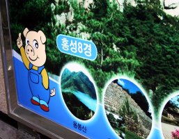 Cute pig on a subway station ad