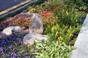 Roadside Landscaping