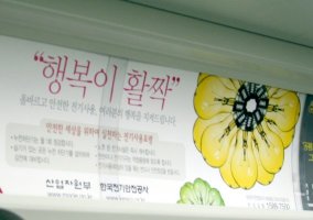 Those are light bulbs, not flowers.