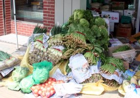 Fresh vegetables for sale