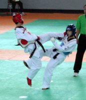 Kick to the head