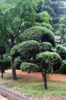 Outside Tae Kwon Do federation