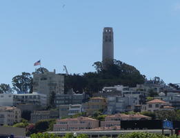 coit tower