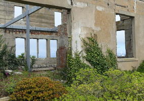 Vegetation overgrowing ruins of warden's house