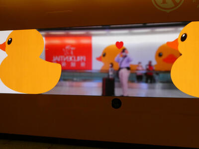 duck video display