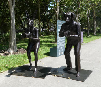 rabbit and dog holding cameras