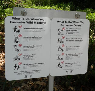 wild monkeys and otters warnings