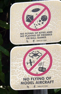 no kite flying model planes